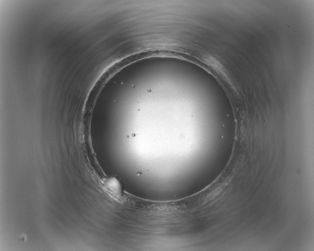 X0000062670924200512211331