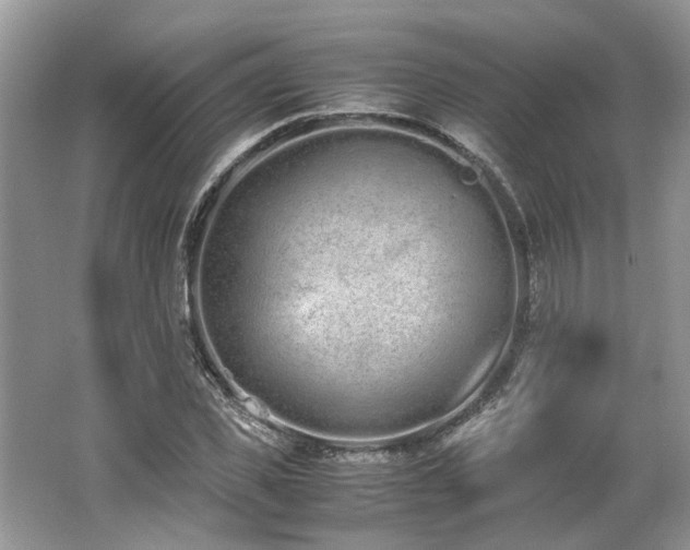 X0000062670925200512211331