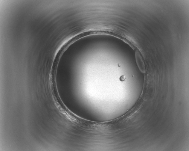 X0000062670928200512211331