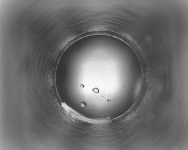 X0000062670929200512211331