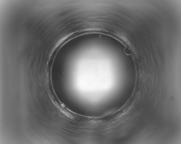 X0000062670933200512211331