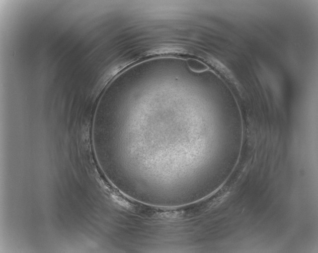 X0000062670937200512211331