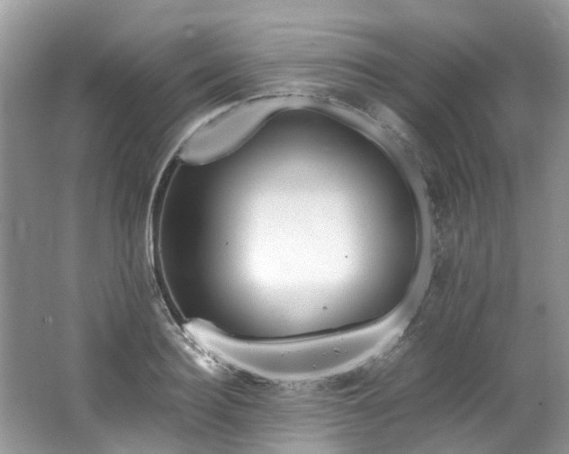 X0000062670940200512211331