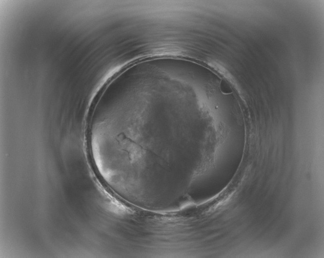 X0000062670941200512211331