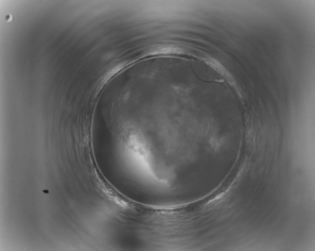 X0000062670945200512211331