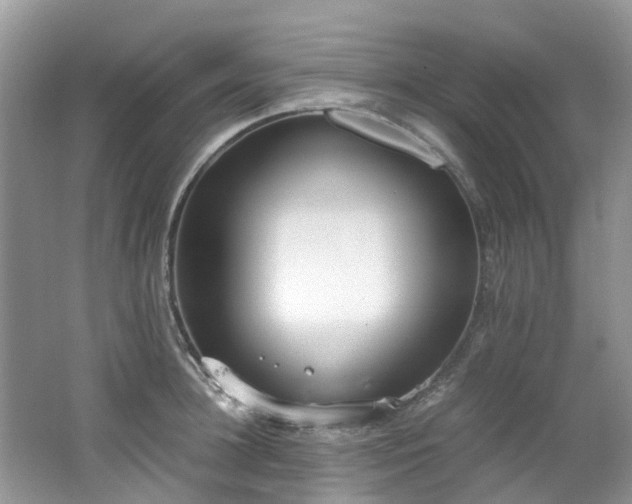 X0000062670948200512211331