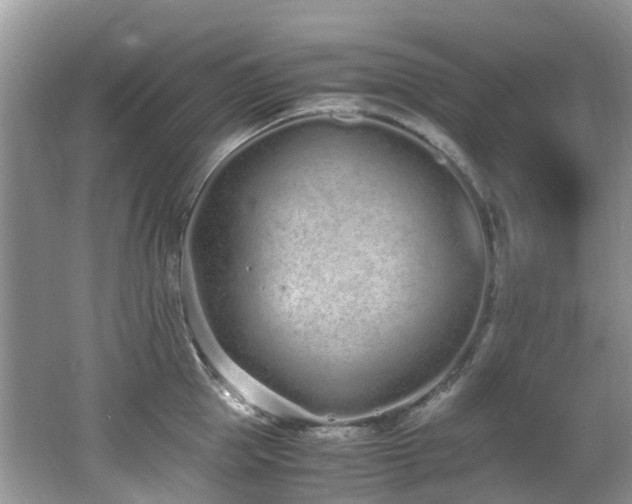 X0000062670953200512211331