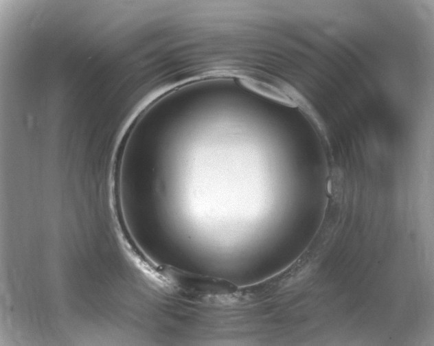 X0000062670955200512211331