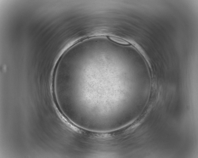 X0000062670957200512211331