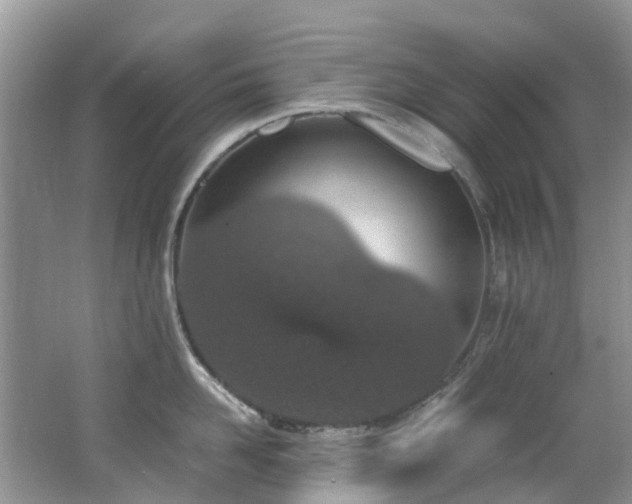 X0000062670958200512211331