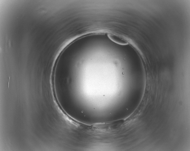 X0000062670959200512211331