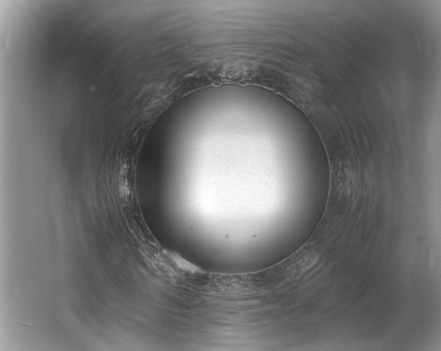 X0000062670962200512211331