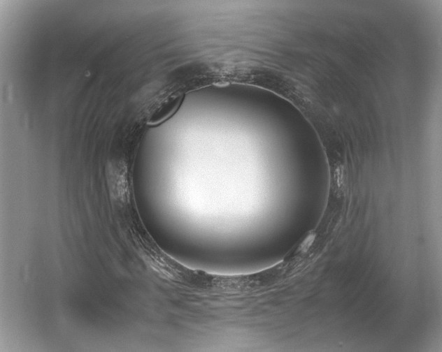 X0000062670963200512211331