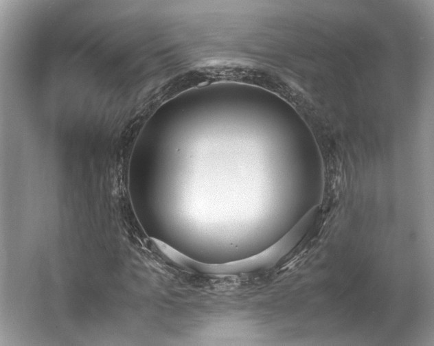 X0000062670965200512211331