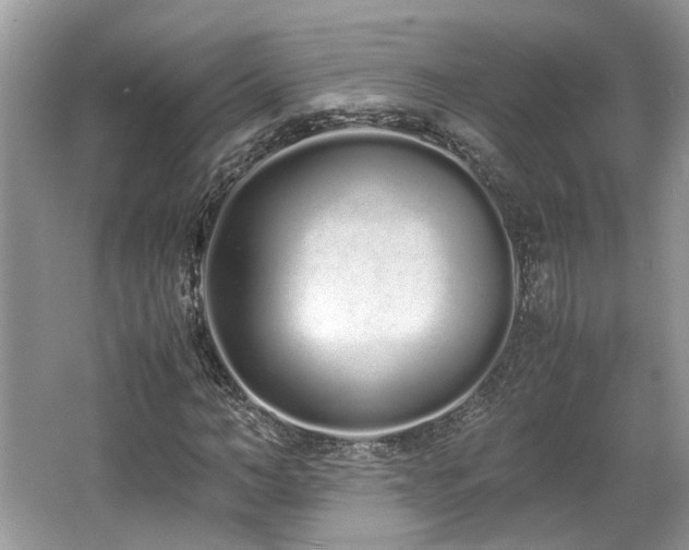 X0000062670966200512211331