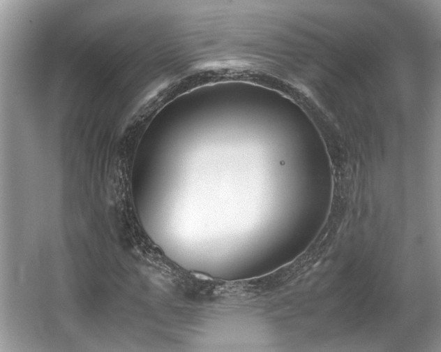 X0000062670967200512211331