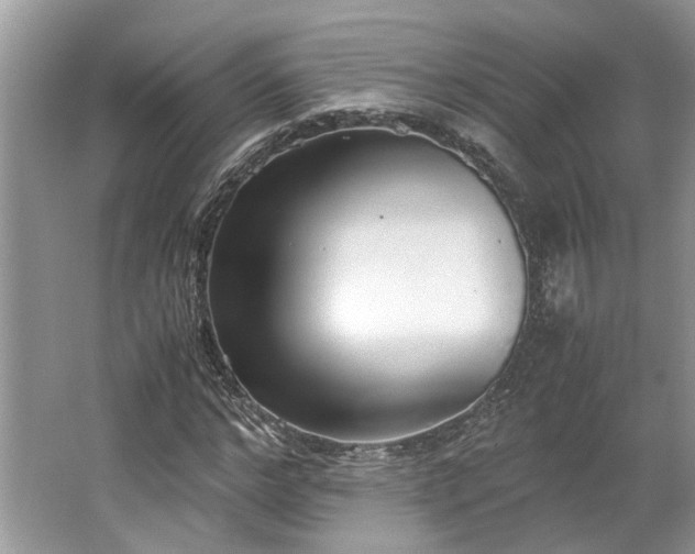 X0000062670968200512211331