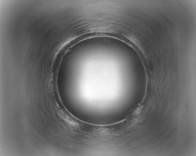 X0000062670971200512211330