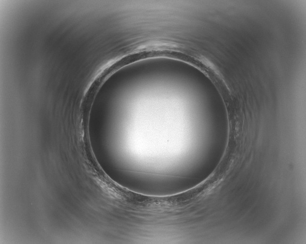 X0000062670973200512211330