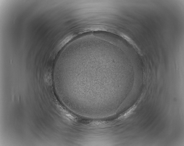 X0000062670977200512211330