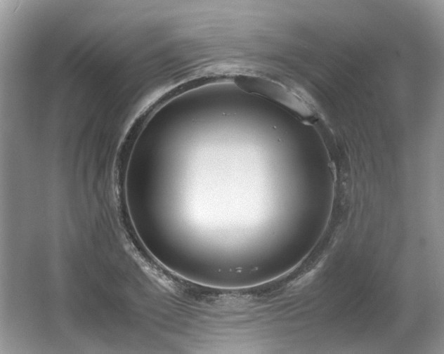 X0000062670981200512211330