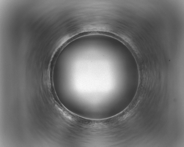 X0000062670982200512211330