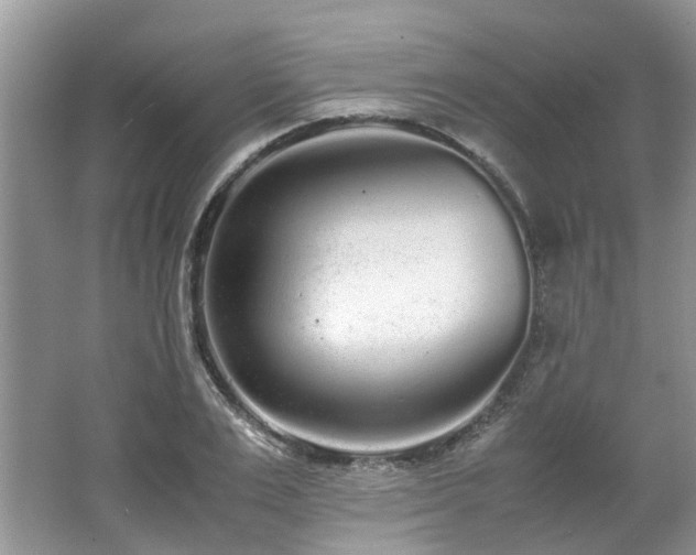 X0000062670983200512211330