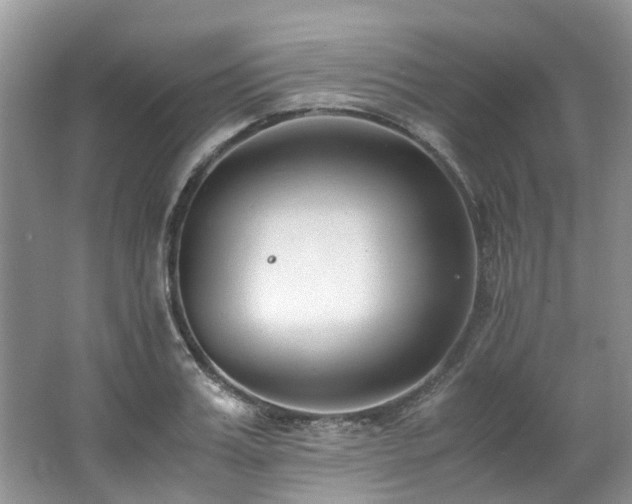 X0000062670987200512211330