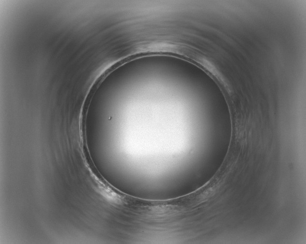 X0000062670988200512211330