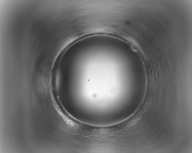 X0000062670991200512211330