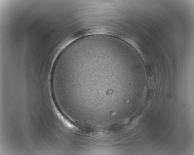 X0000062670995200512211330