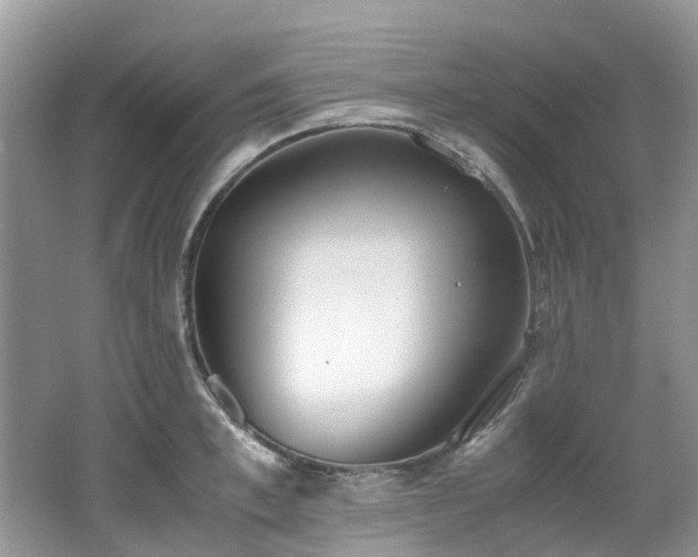 X0000062670997200512211330