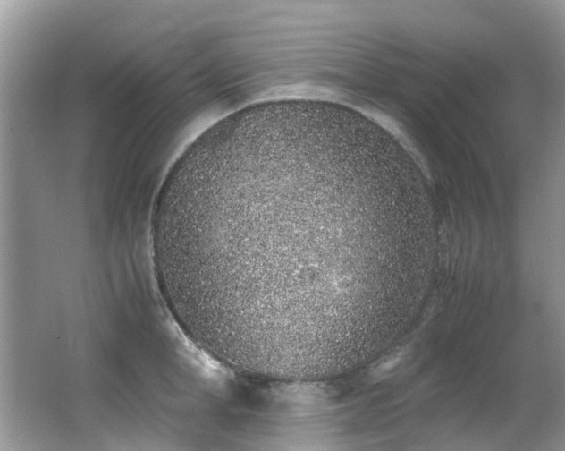 X0000062670998200512211330