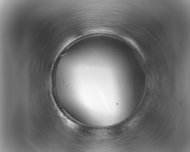 X0000062670999200512211330