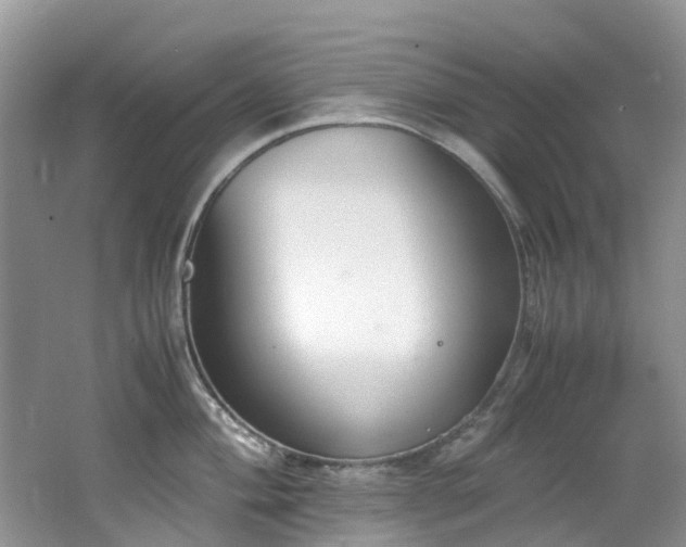 X0000062671004200512211330