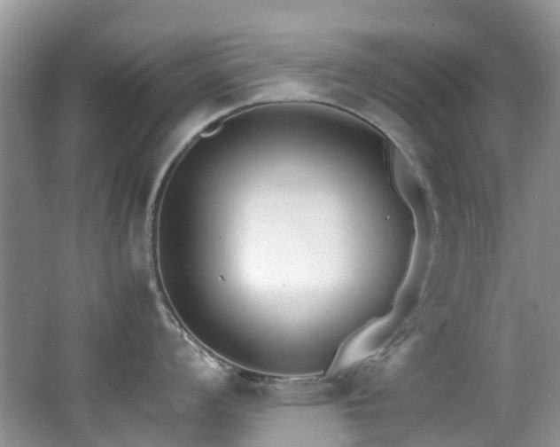 X0000062671008200512211330