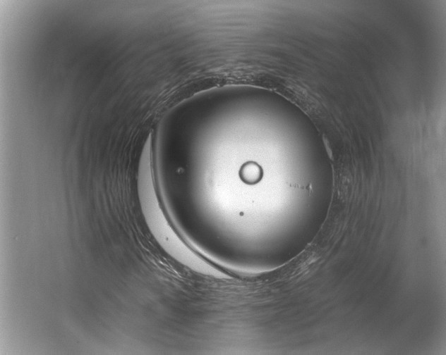 X0000062671010200512211329