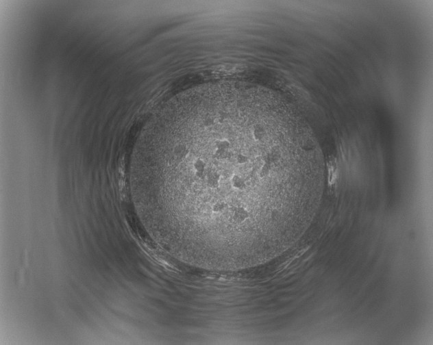 X0000062671011200512211329