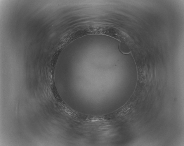 X0000062671013200512211329