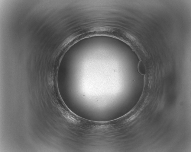 X0000062671017200512211329