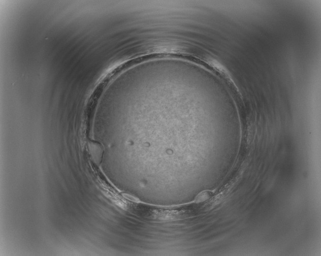 X0000062671019200512211329