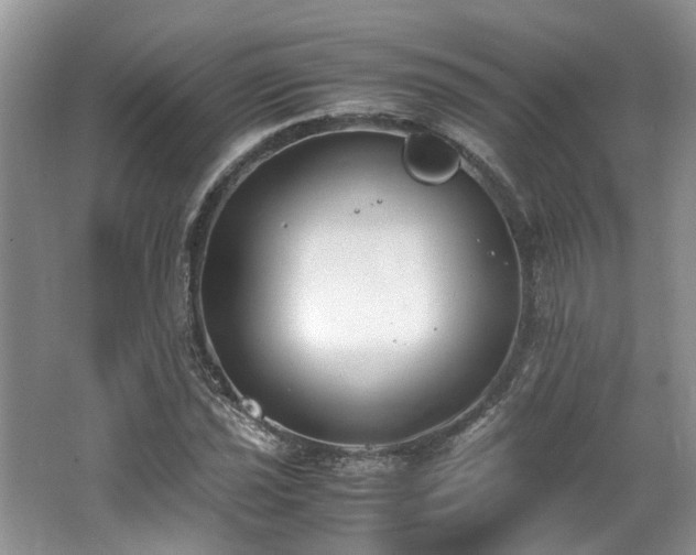 X0000062671021200512211329