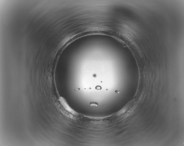 X0000062671025200512211329