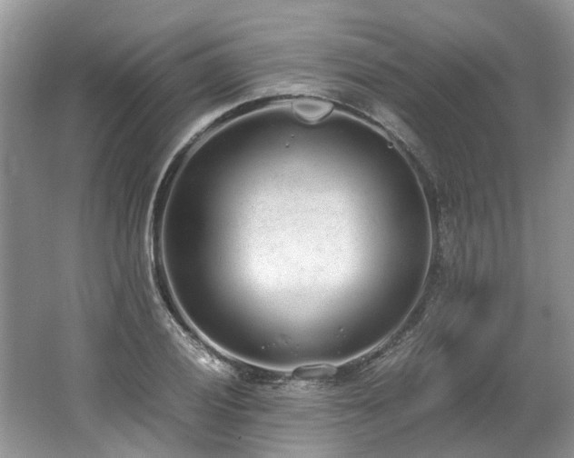 X0000062671028200512211329