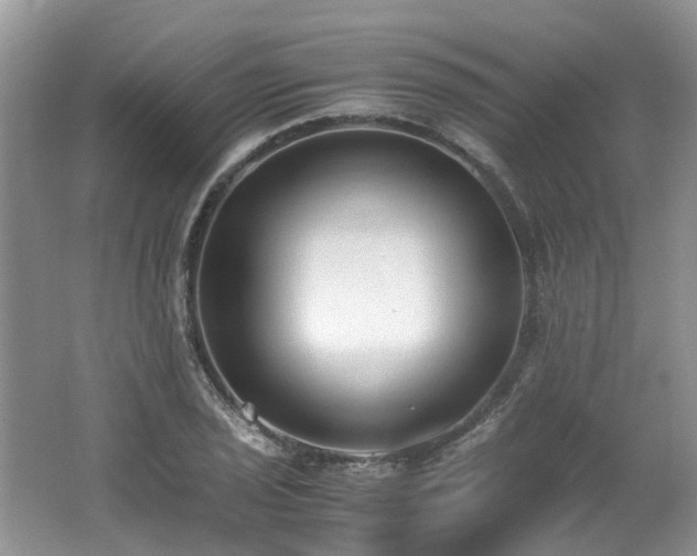 X0000062671029200512211329