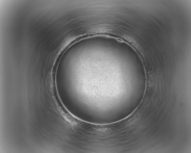 X0000062671031200512211329