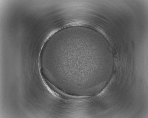 X0000062671034200512211329