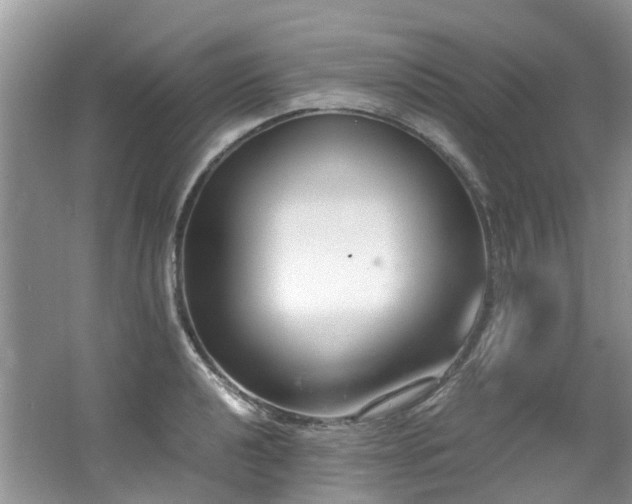 X0000062671040200512211329