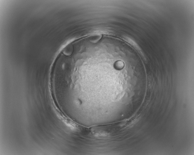 X0000062671043200512211330