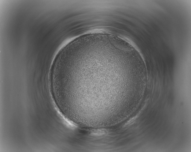 X0000062671045200512211330